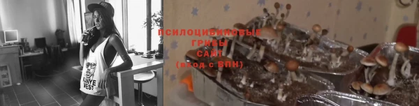 СК Алзамай