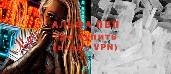 СК Алзамай