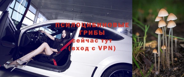 дживик Алексин