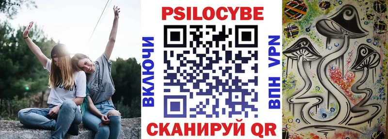 даркнет сайт  маркетплейс официальный сайт  Псилоцибиновые грибы Psilocybine cubensis  Когалым  кракен зеркало 