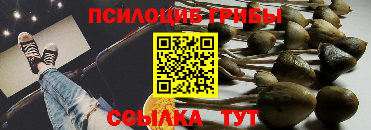 Когалым  Псилоцибиновые грибы Psilocybe  Вход с VPN  Псилоцибиновые грибы Cubensis 